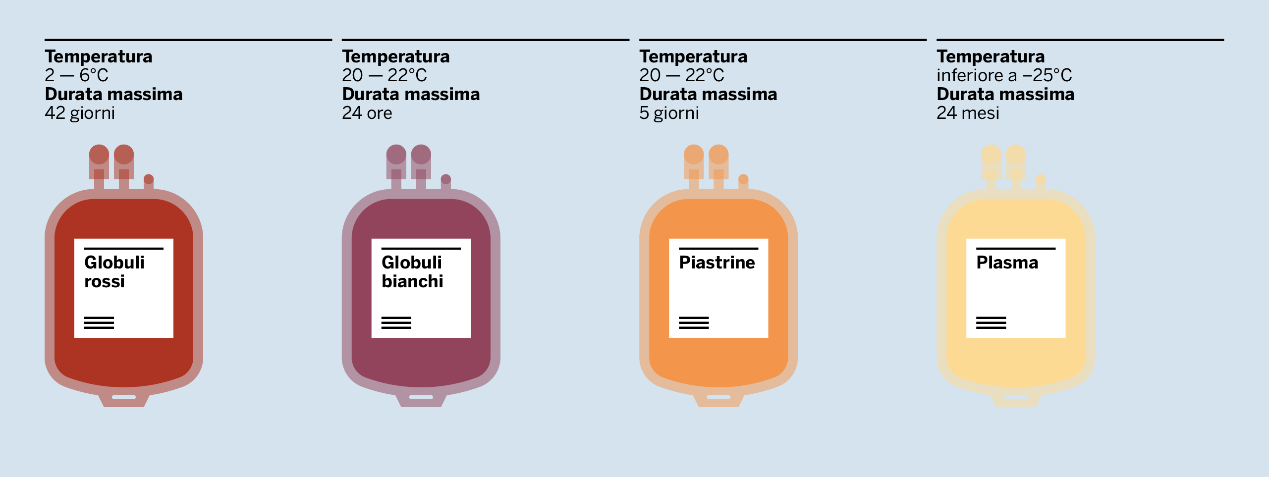AVIS-Il-sangue-03 (1)