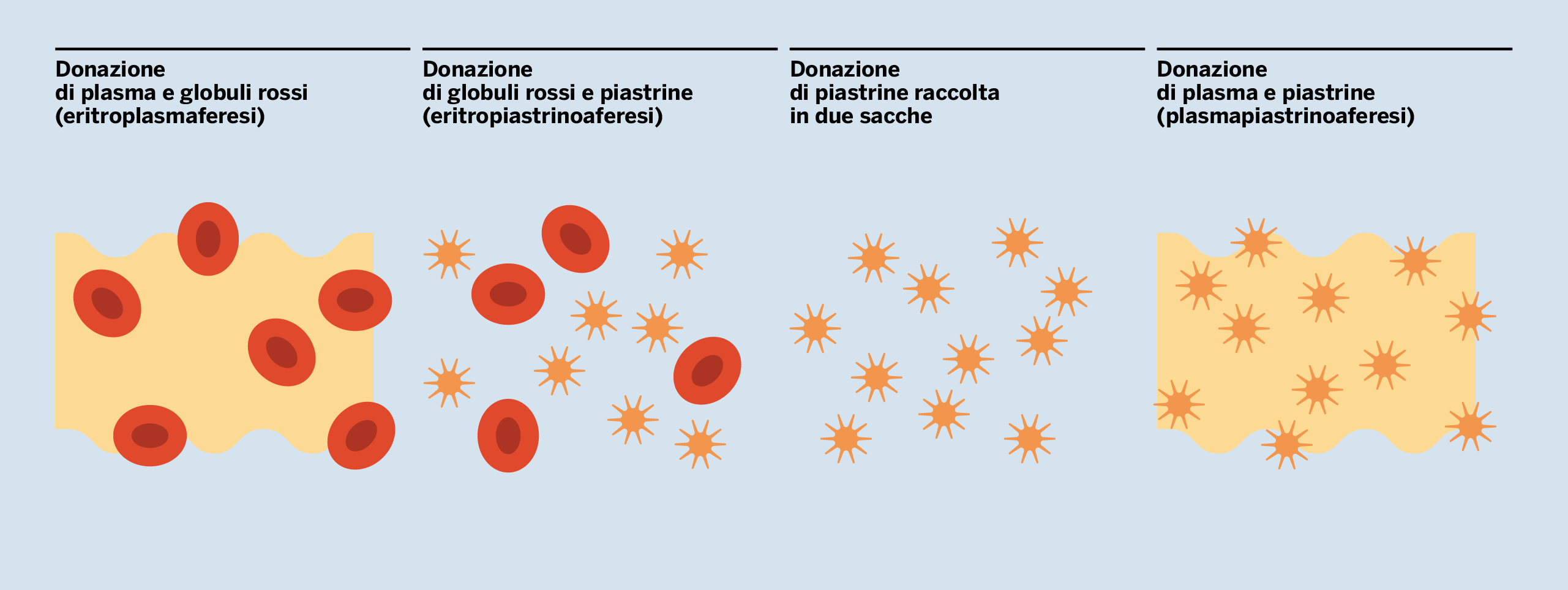 AVIS-tipi-di-donazione-03
